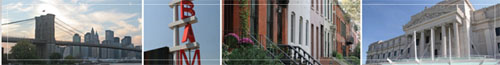 Warren Lewis Realty