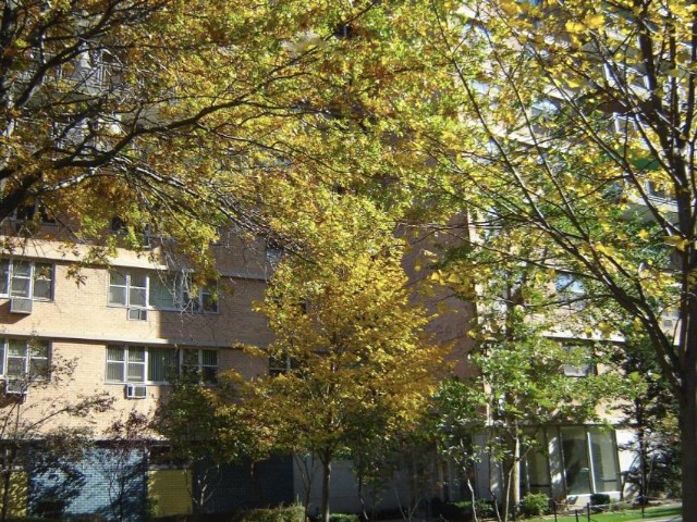  1 BR,  1.00 BTH &nbsp;Co-op style home in BRIGHTON BEACH