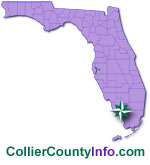 Collier County Homes