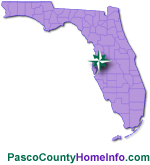 Pasco County Homes