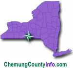 Chemung County Homes