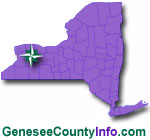 Genesee County Homes