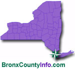 Bronx County Homes