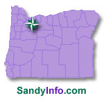 Sandy Homes