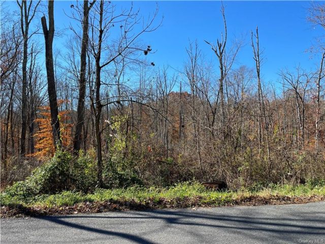 Lot <b>Size:</b>  &nbsp;House style home in Pine Bush