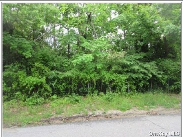Lot <b>Size:</b> .65 &nbsp;Land style home in Patchogue