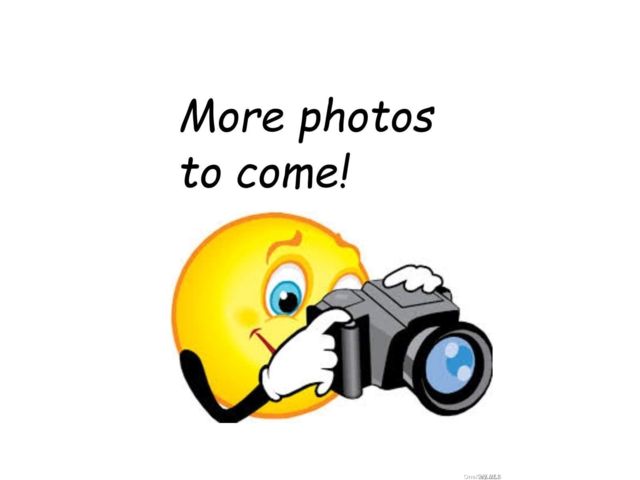 [PHOTO]