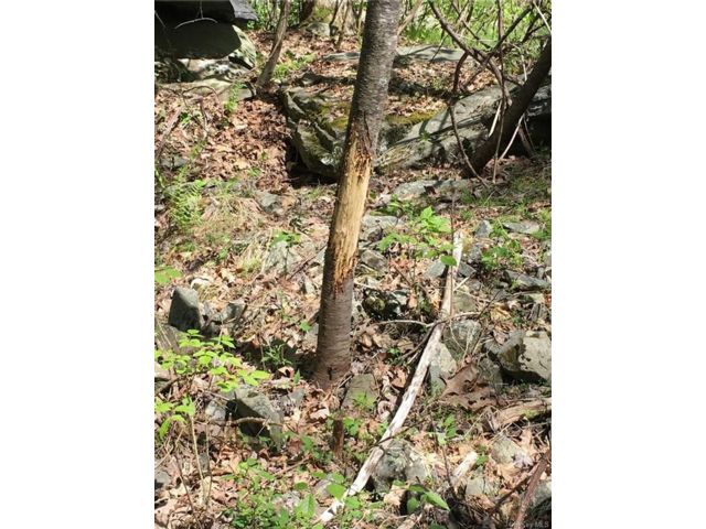 Lot <b>Size:</b>  &nbsp;House style home in Port Jervis