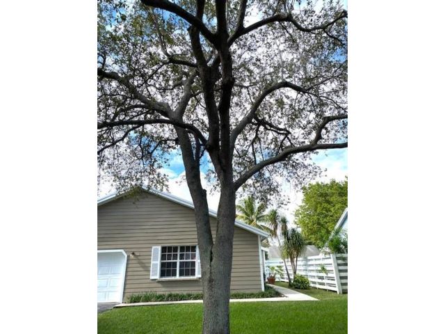  3 BR,  2.00 BTH &nbsp; style home in Miami