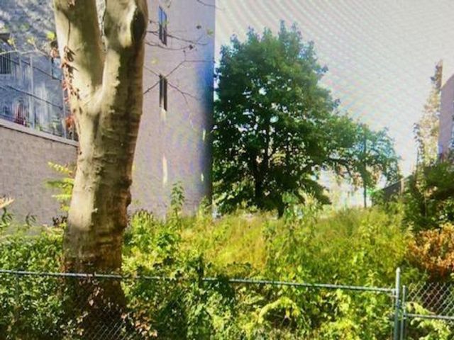 Lot <b>Size:</b>  &nbsp;Land style home in Ditmas Park