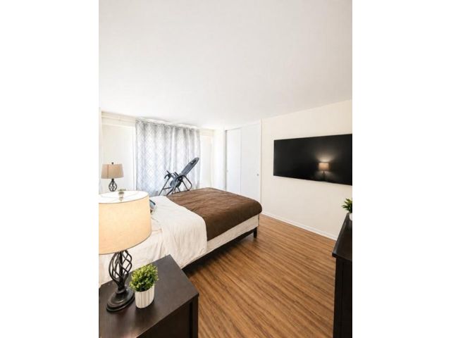 [PHOTO]