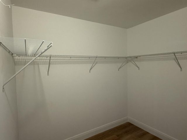 [PHOTO]