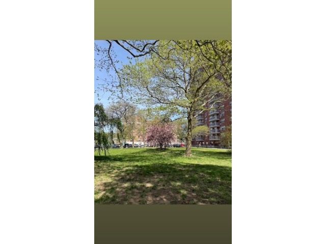 [PHOTO]