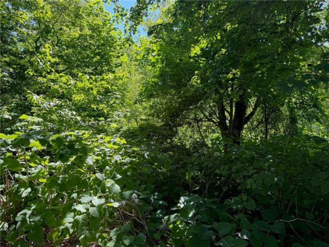 Lot <b>Size:</b> 53X417 &nbsp;Land style home in Princess Bay