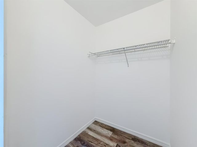 [PHOTO]