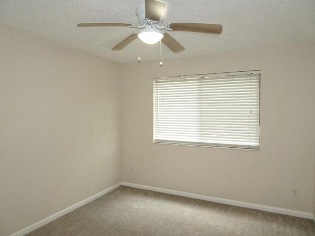 [PHOTO]