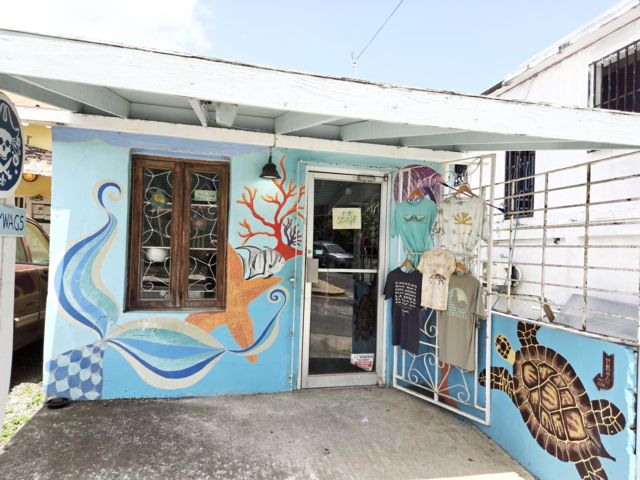 [Vieques Real Estate, listing number 3345137]