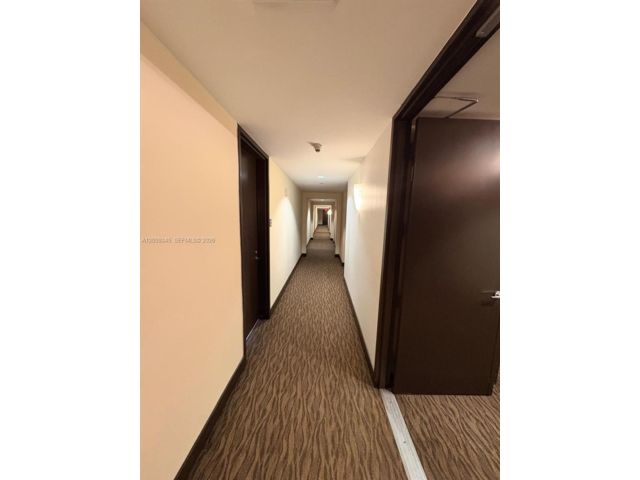 [PHOTO]