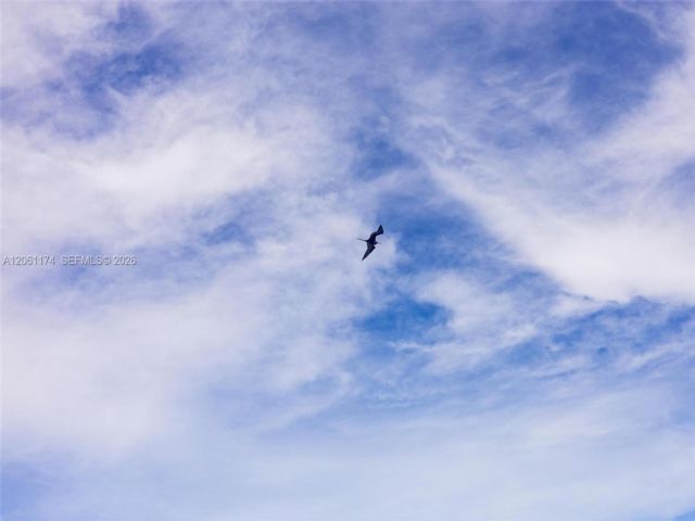 [PHOTO]
