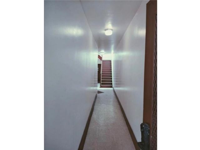 [PHOTO]
