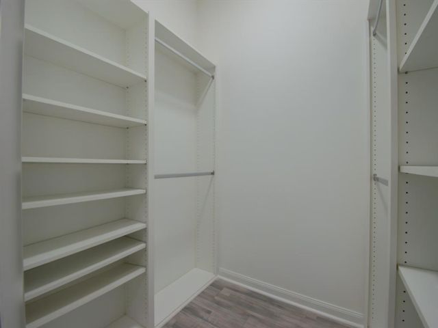 [PHOTO]