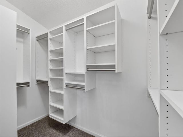 [PHOTO]