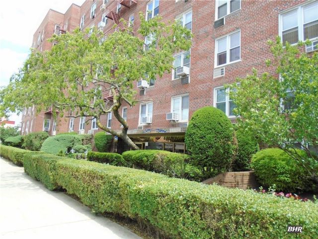 [Marine Park Real Estate, listing number 3347825]
