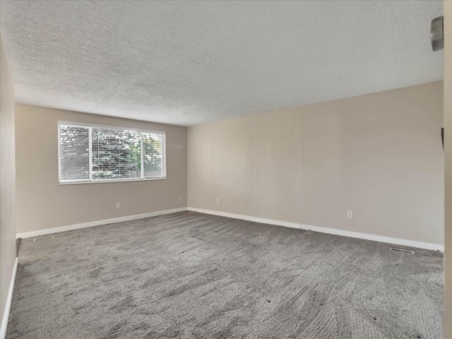 [PHOTO]