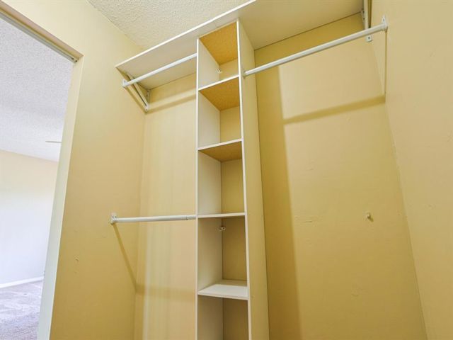 [PHOTO]