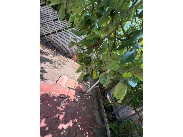[PHOTO]
