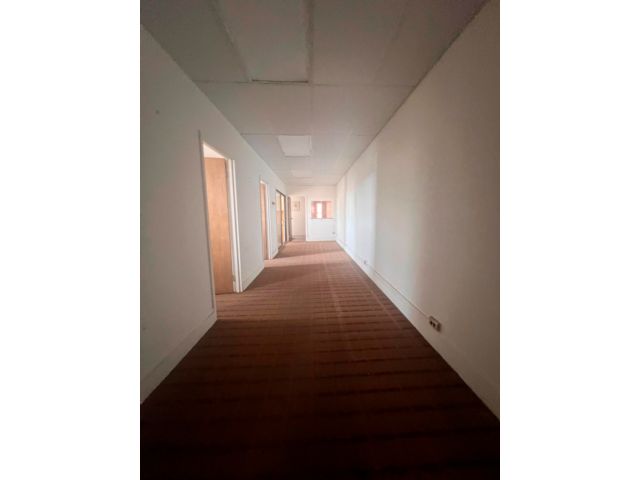 [PHOTO]