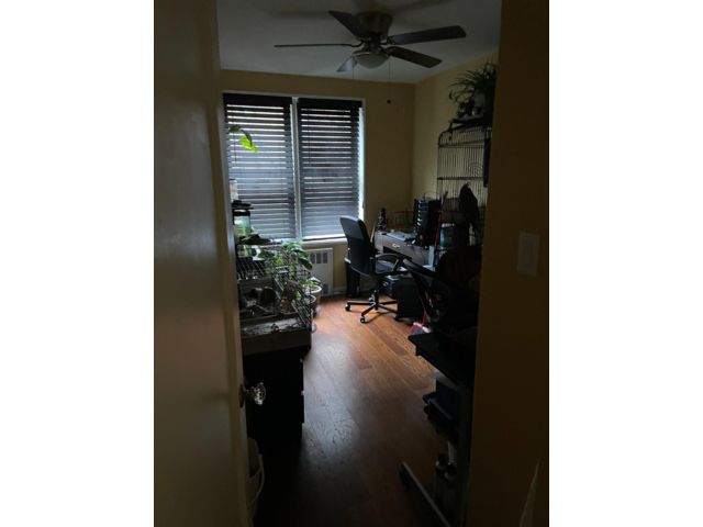 [PHOTO]