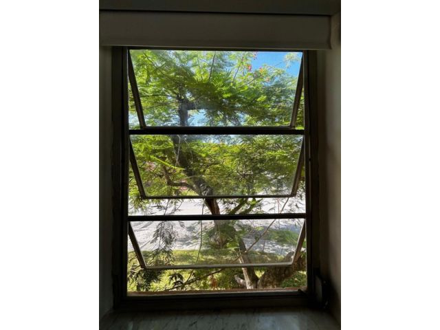 [PHOTO]