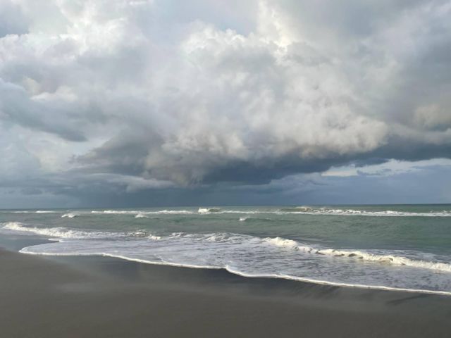 [PHOTO]