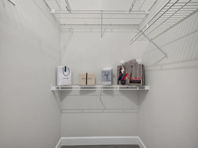 [PHOTO]