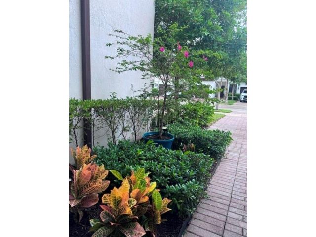 [PHOTO]