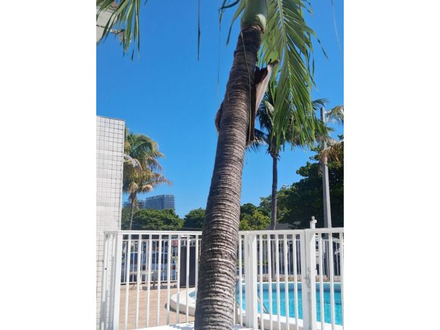  2 BR,  2.00 BTH &nbsp; style home in Hallandale