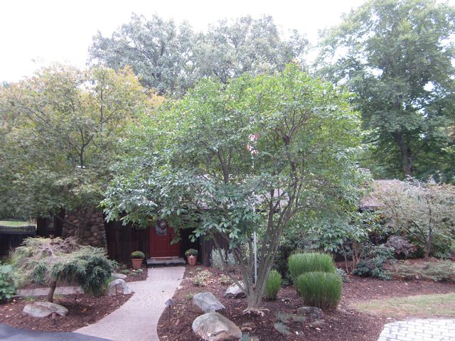 [Clarkstown Real Estate, listing number 6707988]