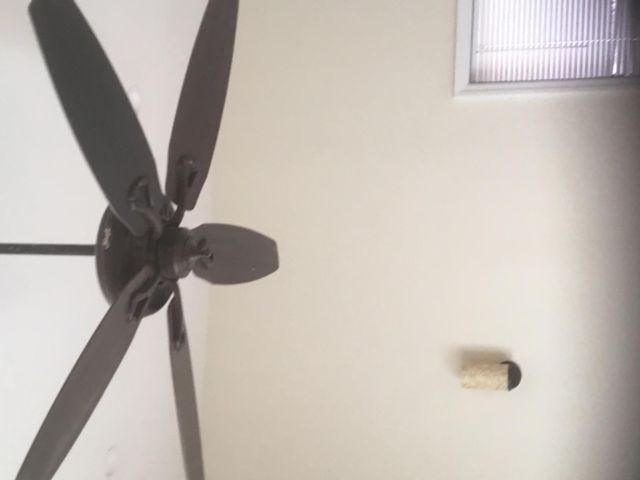 [PHOTO]