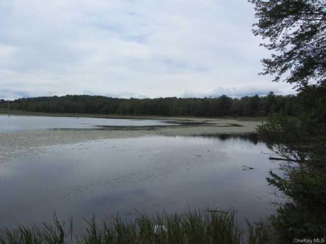 [PHOTO]
