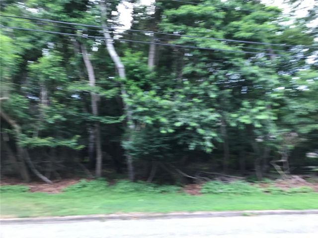 [PHOTO]