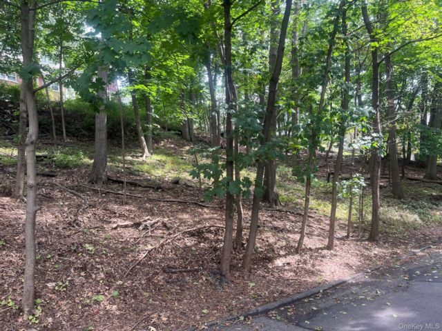 Lot <b>Size:</b> 150x100x64 &nbsp;House style home in Ardsley