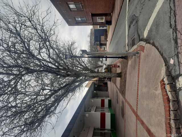[PHOTO]