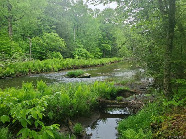 Lot <b>Size:</b>  &nbsp;House style home in Mongaup Valley