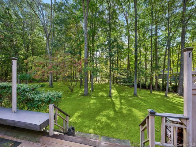[PHOTO]