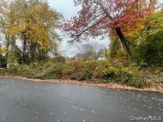 [PHOTO]
