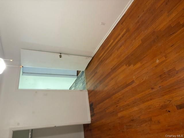 [PHOTO]