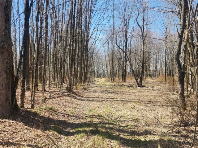 Lot <b>Size:</b>  &nbsp;House style home in Monticello