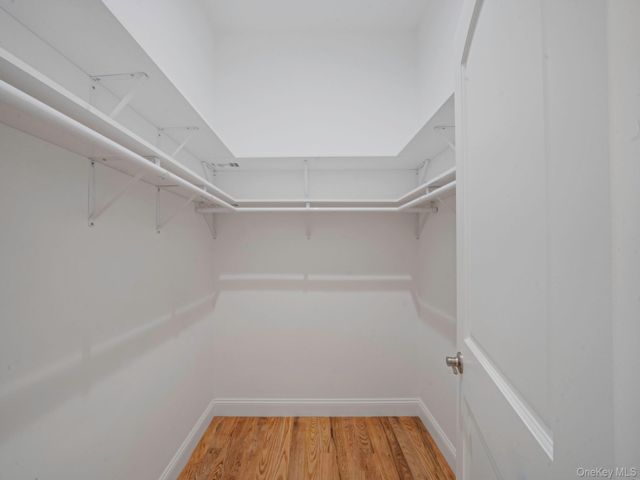 [PHOTO]