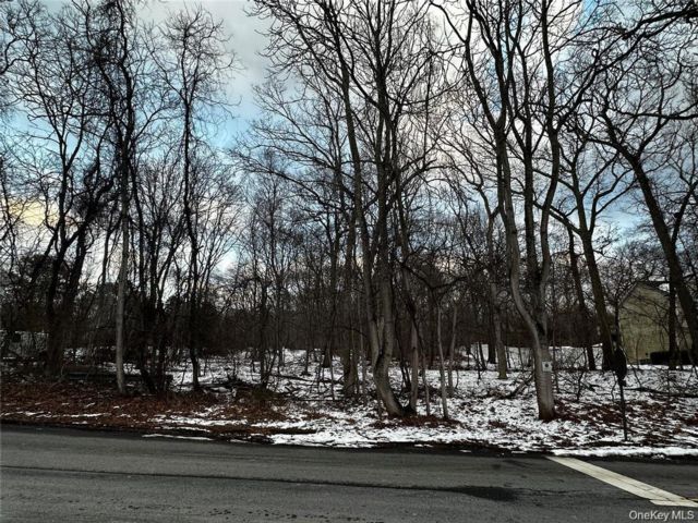 [Middle Island Real Estate, listing number 7249222]